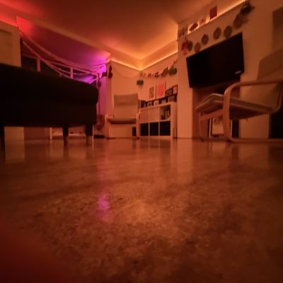 The Completed Home