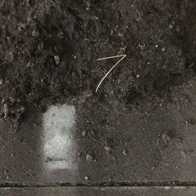 09 May 2020